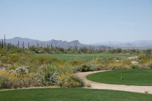 Dove Mountain (Wild Burro) 7th